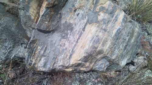 Гигантские зелёные валуны для ландшафтного дизайна весом более 5 тонн купить в Дмитрове